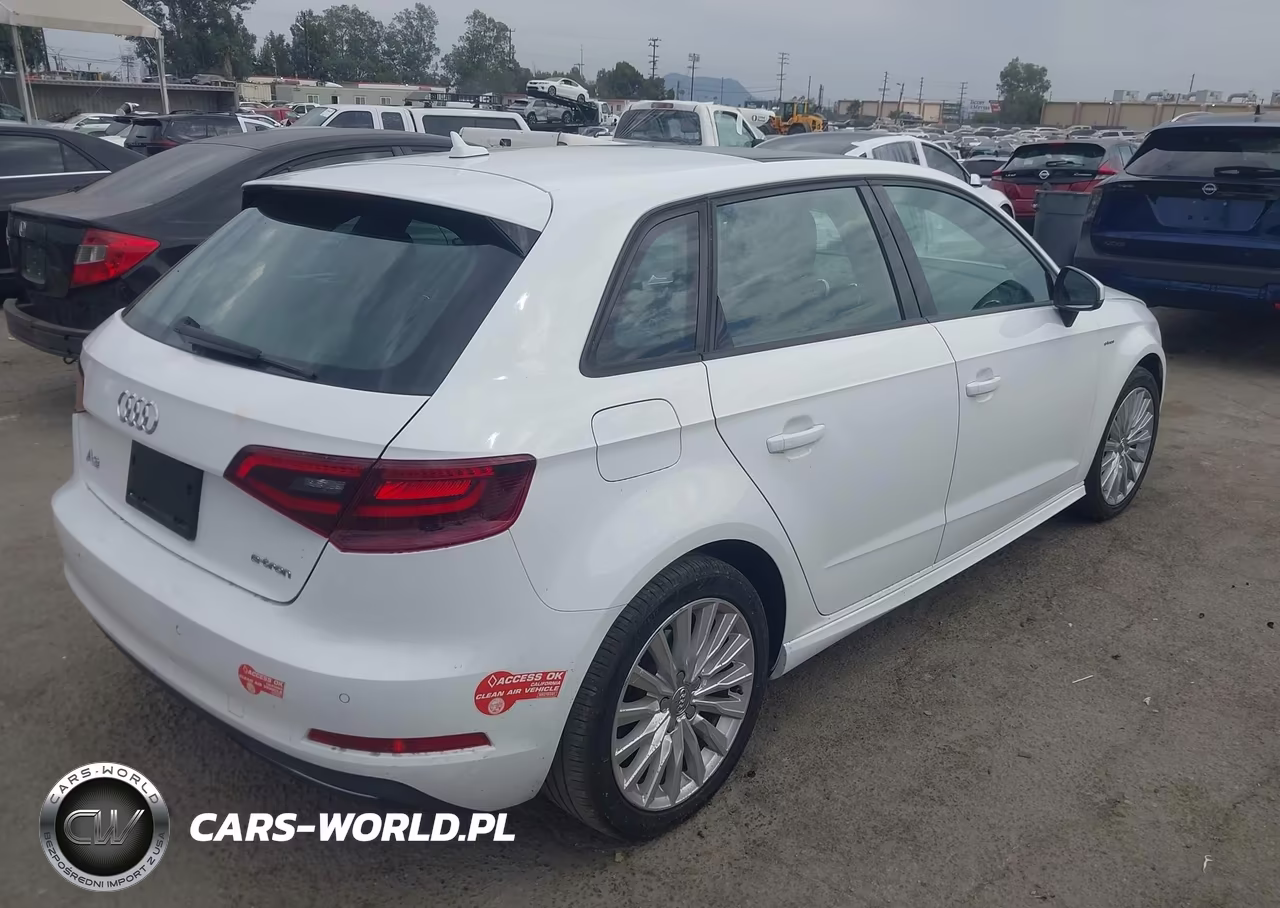 2016 Audi A3 E-Tron 1.4T Premium VIN:WAUUPBFF8GA145986 - 4