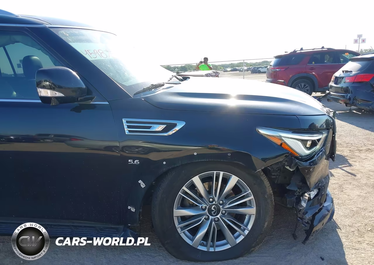 2019 Infiniti Qx80 Luxe VIN:JN8AZ2NE0K9236550 - 6