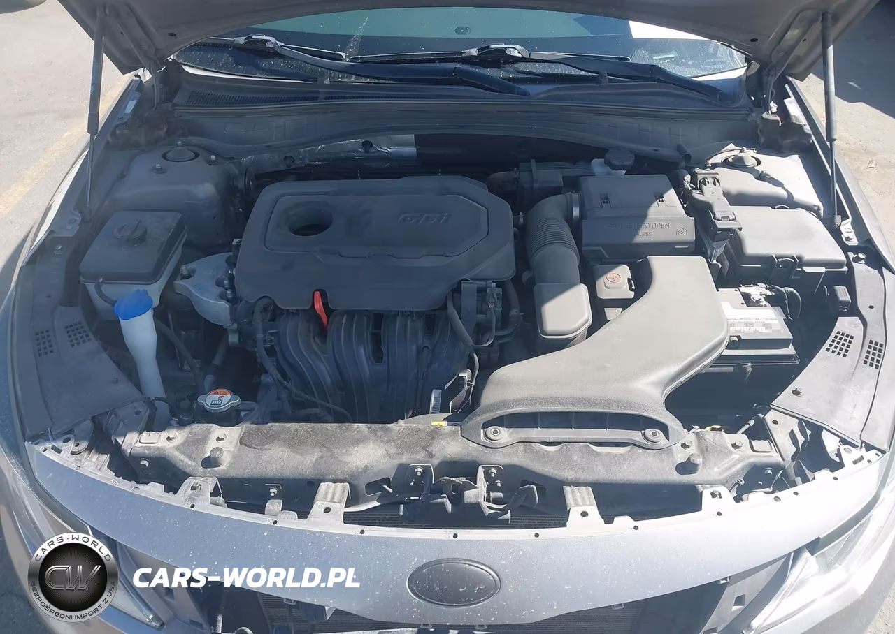 2018 Kia Optima Ex VIN:5XXGU4L32JG190819 - 10