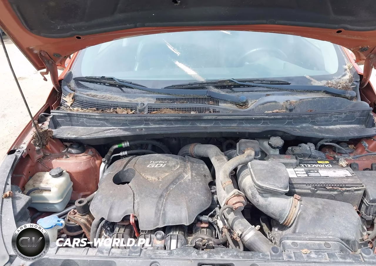2011 Kia Sportage Sx VIN:KNDPCCA65B7167300 - 10