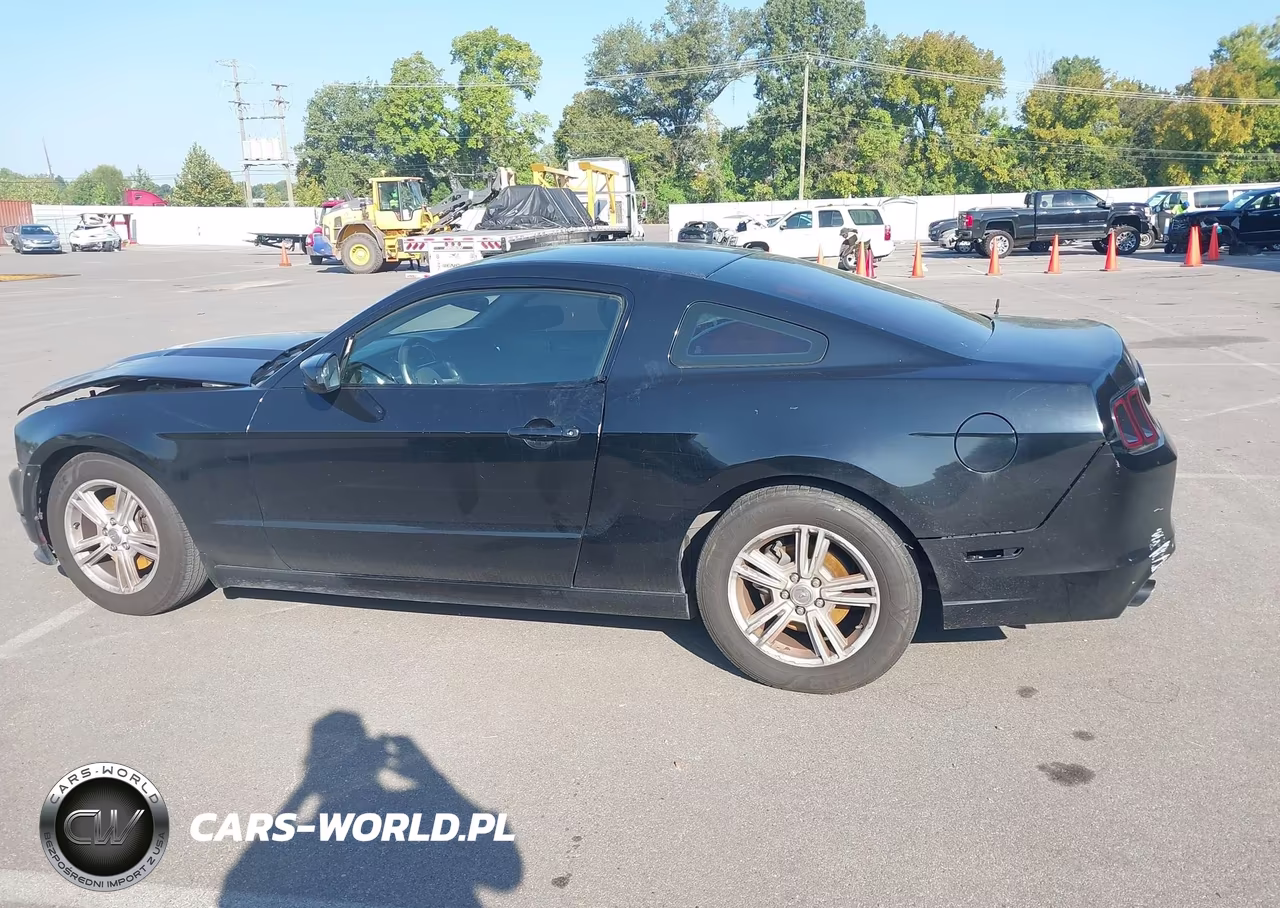 2014 Ford Mustang V6 VIN:1ZVBP8AM1E5210019 - 14