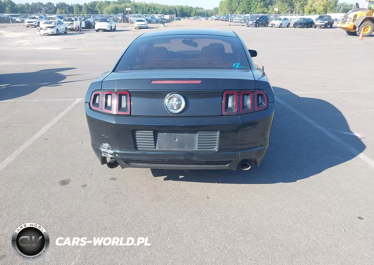 2014 Ford Mustang V6 VIN:1ZVBP8AM1E5210019 - 16