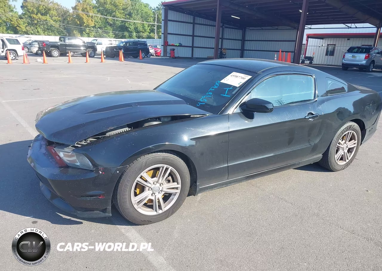2014 Ford Mustang V6 VIN:1ZVBP8AM1E5210019 - 2