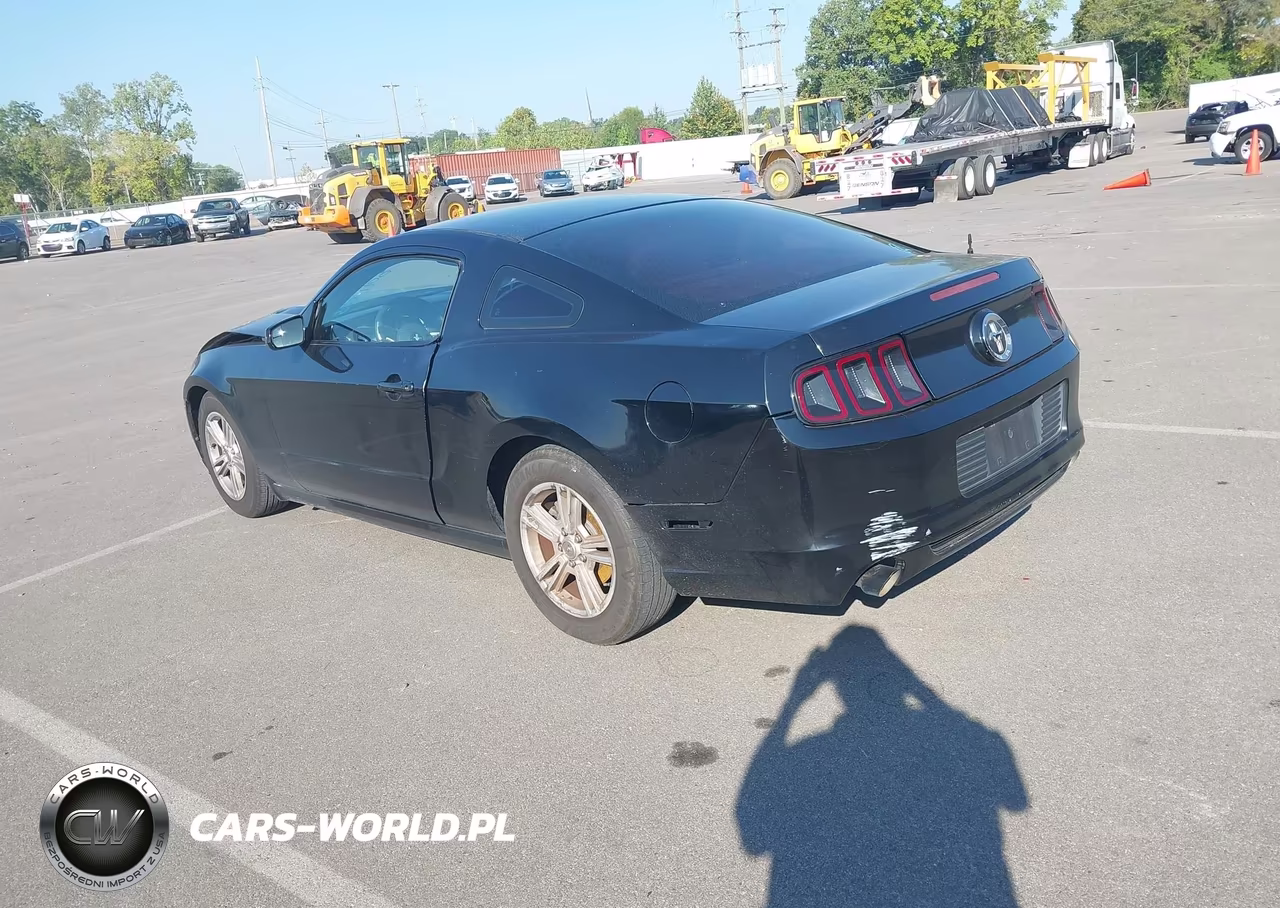 2014 Ford Mustang V6 VIN:1ZVBP8AM1E5210019 - 3