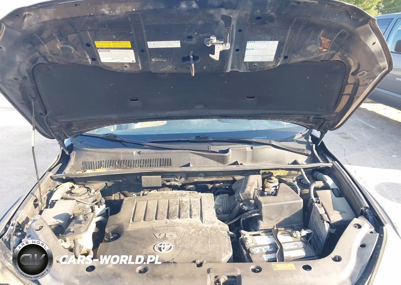 2009 Toyota Rav4 Limited V6 VIN:JTMBK31V09D006319 - 10