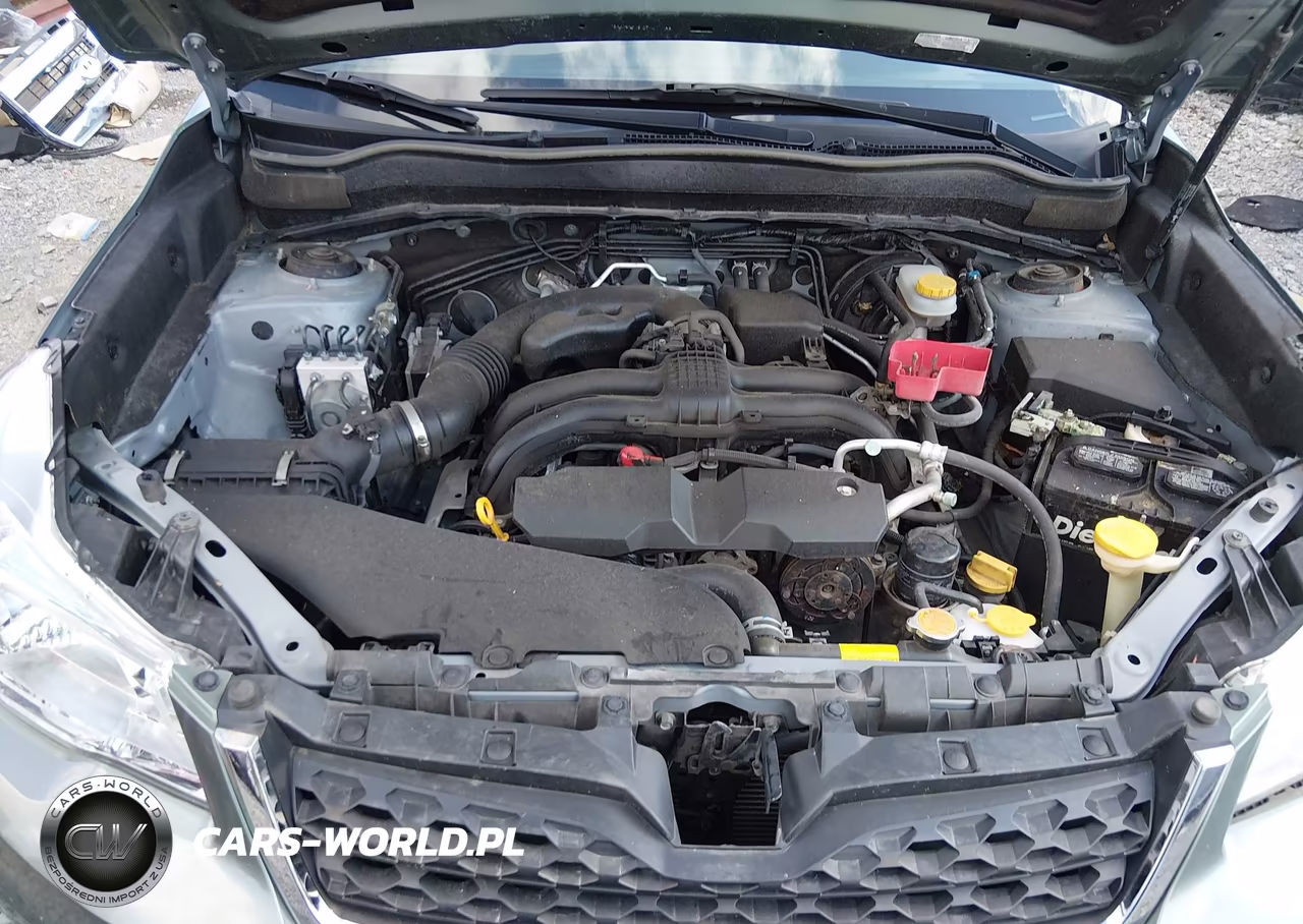 2016 Subaru Forester 2.5I VIN:JF2SJABC6GH518128 - 10