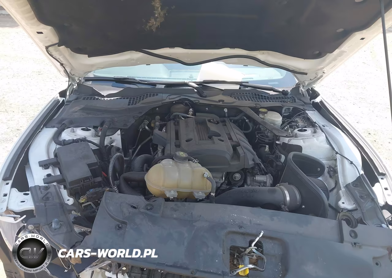2016 Ford Mustang Ecoboost Premium VIN:1FATP8UH0G5324236 - 10