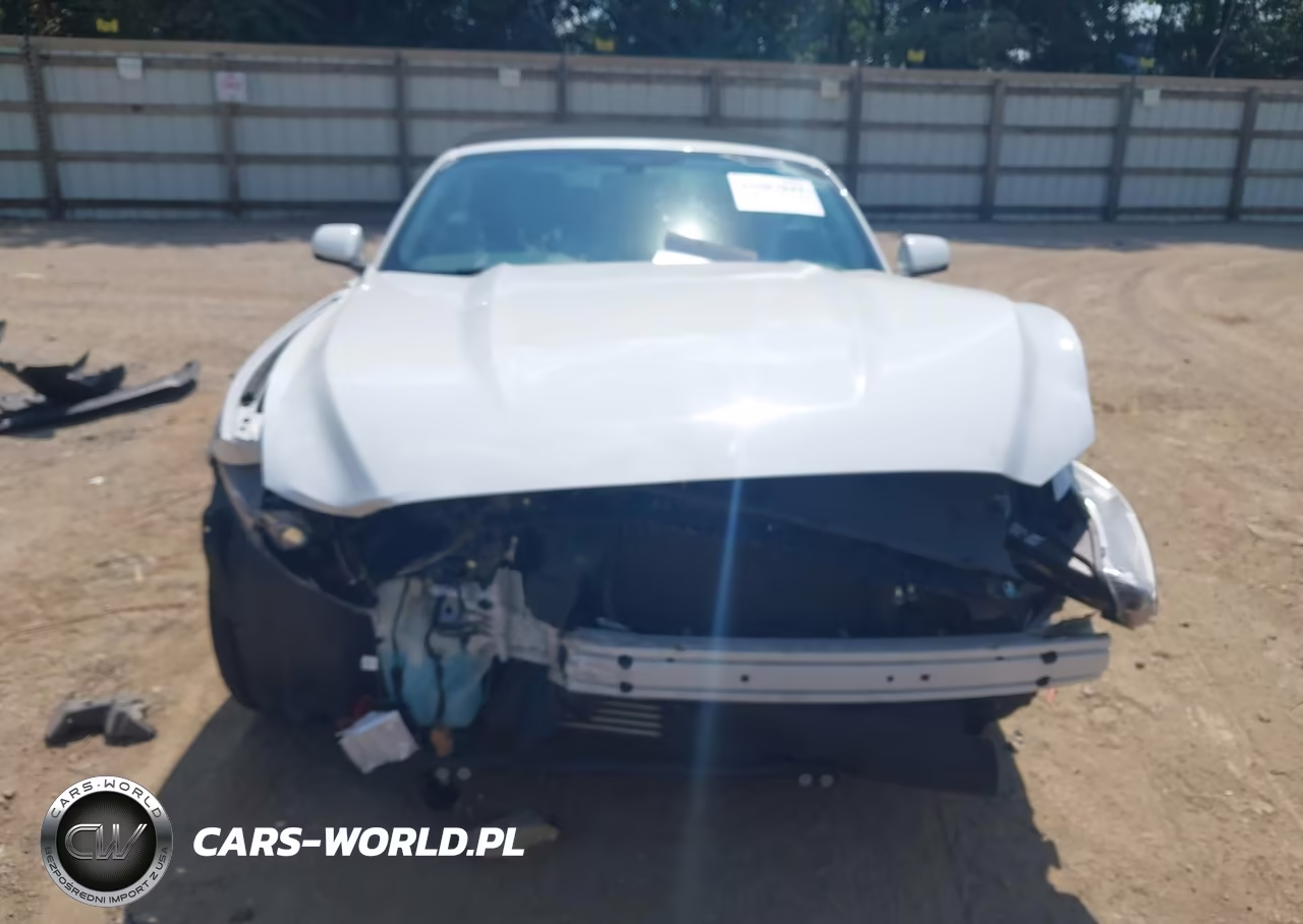 2016 Ford Mustang Ecoboost Premium VIN:1FATP8UH0G5324236 - 12