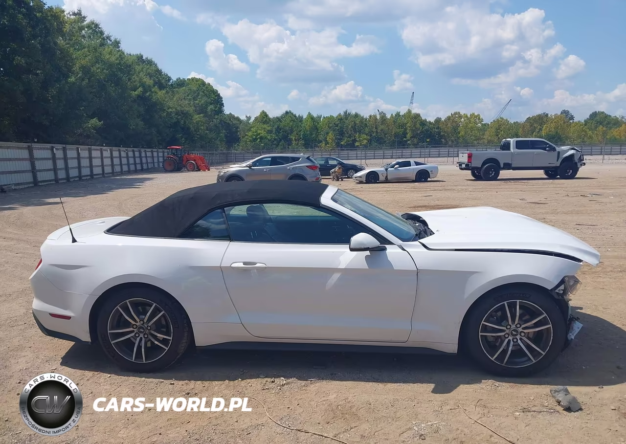 2016 Ford Mustang Ecoboost Premium VIN:1FATP8UH0G5324236 - 13
