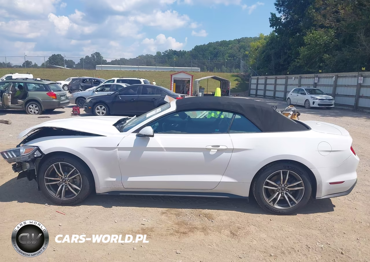 2016 Ford Mustang Ecoboost Premium VIN:1FATP8UH0G5324236 - 14