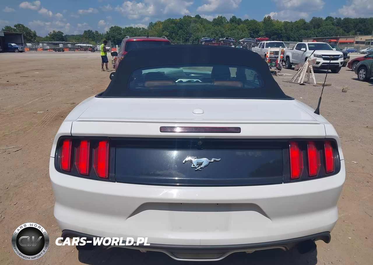 2016 Ford Mustang Ecoboost Premium VIN:1FATP8UH0G5324236 - 16