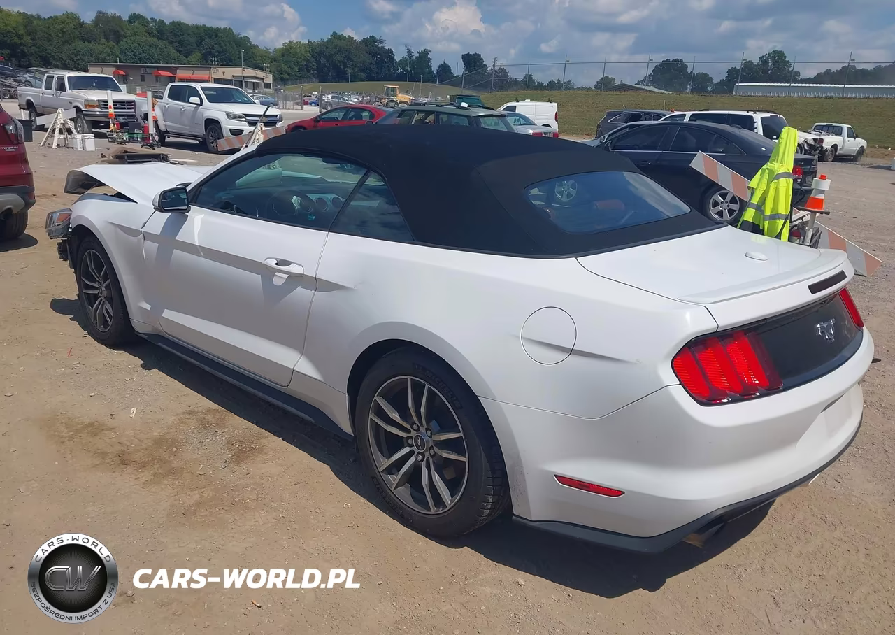 2016 Ford Mustang Ecoboost Premium VIN:1FATP8UH0G5324236 - 3