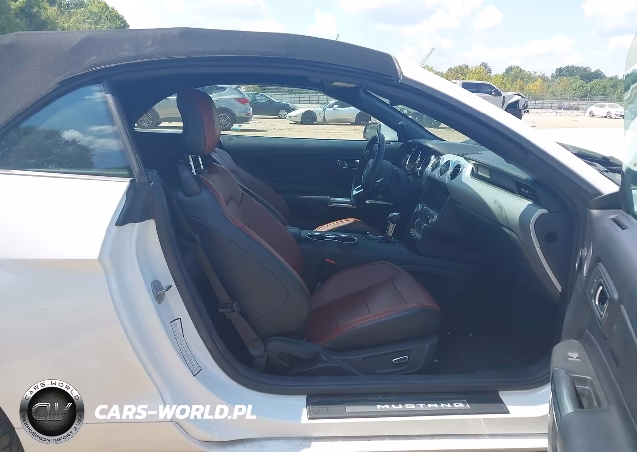 2016 Ford Mustang Ecoboost Premium VIN:1FATP8UH0G5324236 - 5