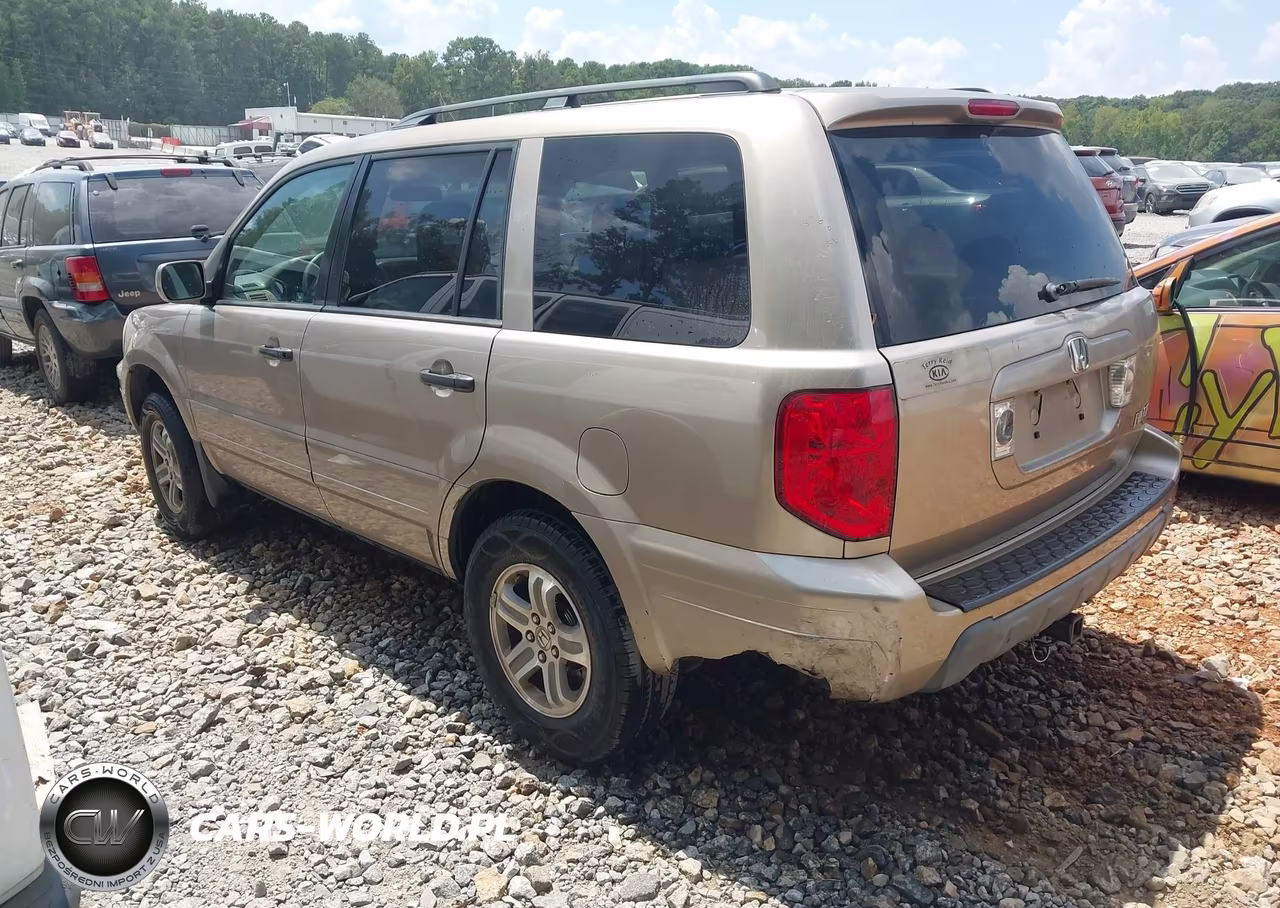 2005 Honda Pilot Ex VIN:5FNYF18475B044519 - 3
