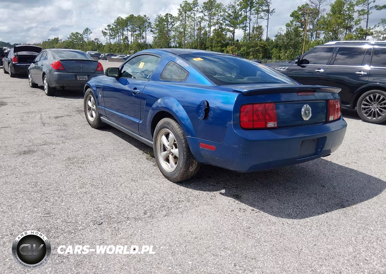 2008 Ford Mustang V6 Deluxe-V6 Premium VIN:1ZVHT80N985130570 - 3