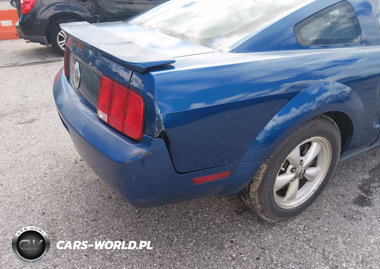 2008 Ford Mustang V6 Deluxe-V6 Premium VIN:1ZVHT80N985130570 - 6