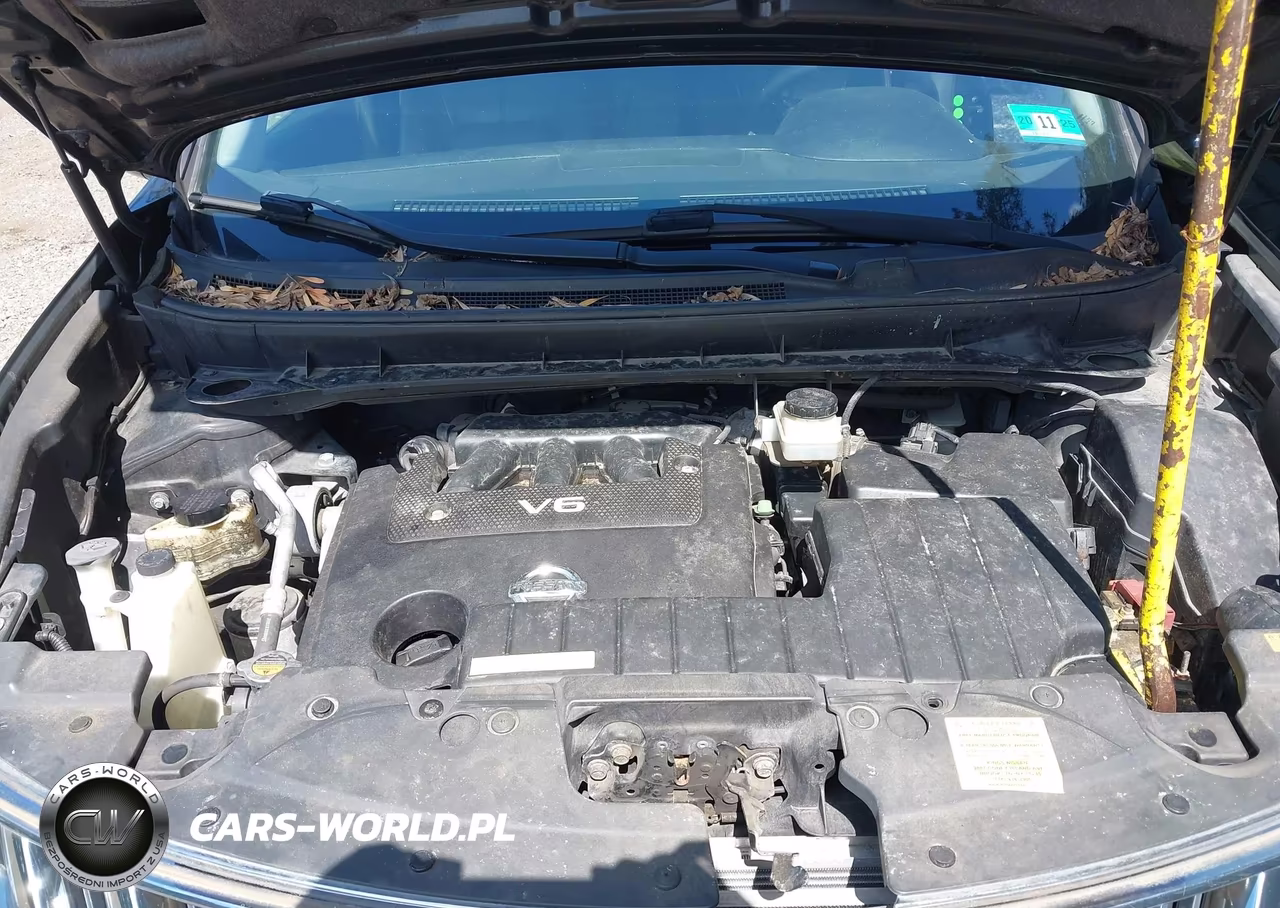 2009 Nissan Murano Le VIN:JN8AZ18W39W123847 - 10
