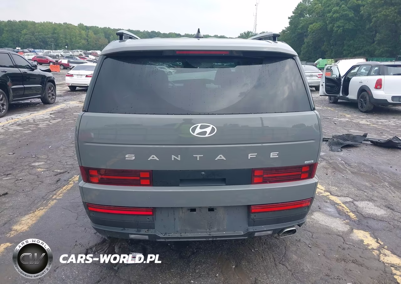 2025 Hyundai Santa Fe Sel VIN:5NMP2DGL3SH096760 - 17