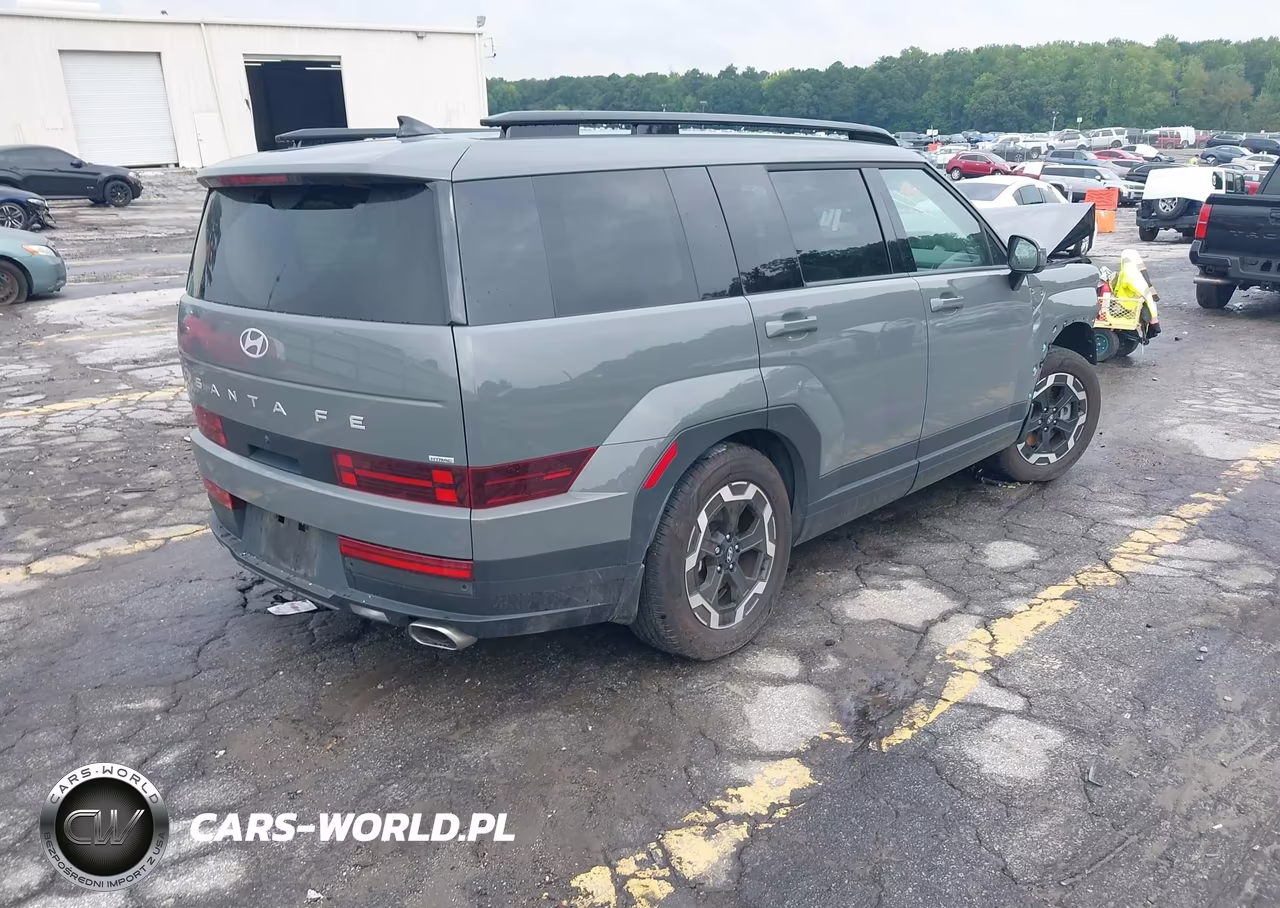 2025 Hyundai Santa Fe Sel VIN:5NMP2DGL3SH096760 - 4