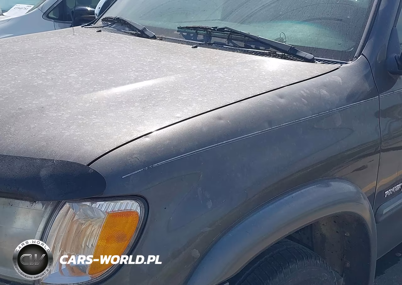 2003 Toyota Tundra Sr5 V8 VIN:5TBBT44143S391321 - 6