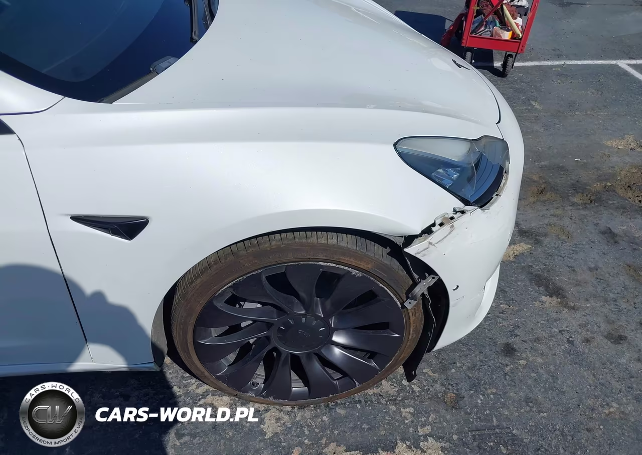 2019 Tesla Model 3 Long Range-Performance VIN:5YJ3E1EBXKF437412 - 21
