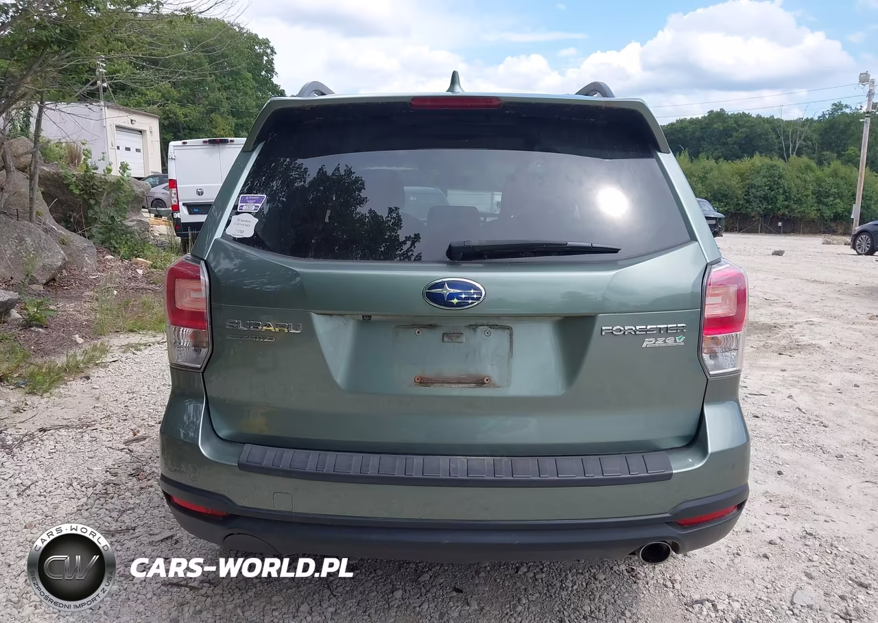 2017 Subaru Forester 2.5I Premium VIN:JF2SJAGC5HH425577 - 16
