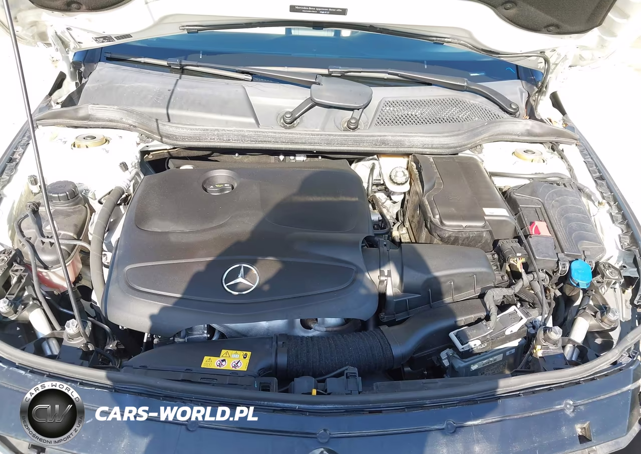2016 Mercedes-Benz Cla 250 4Matic VIN:WDDSJ4GB2GN389599 - 10