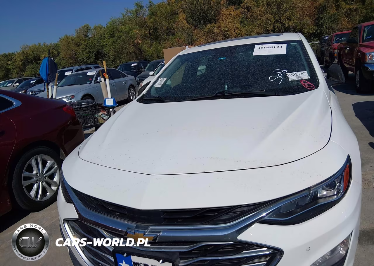 2019 Chevrolet Malibu Premier VIN:1G1ZE5SX1KF176208 - 11