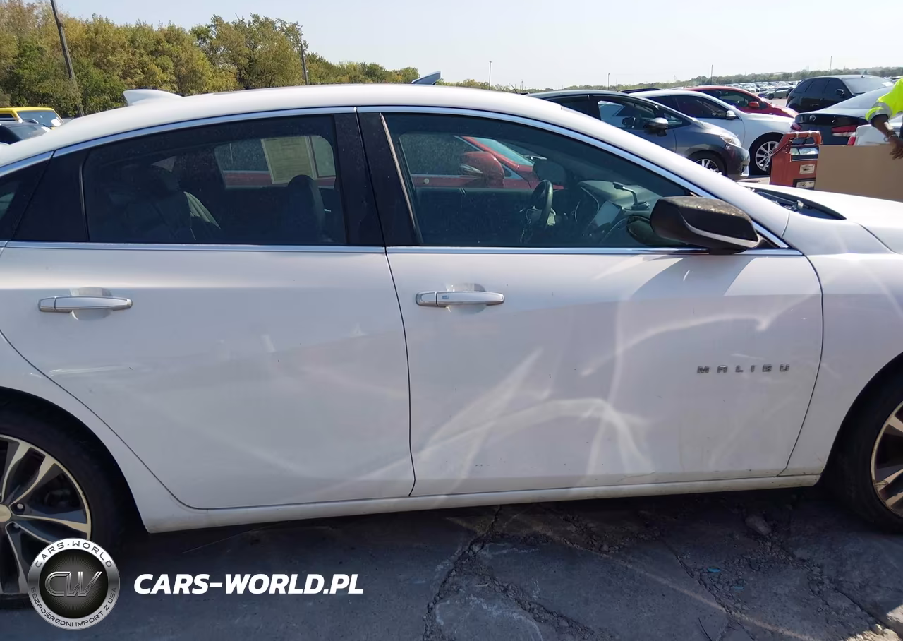 2019 Chevrolet Malibu Premier VIN:1G1ZE5SX1KF176208 - 12