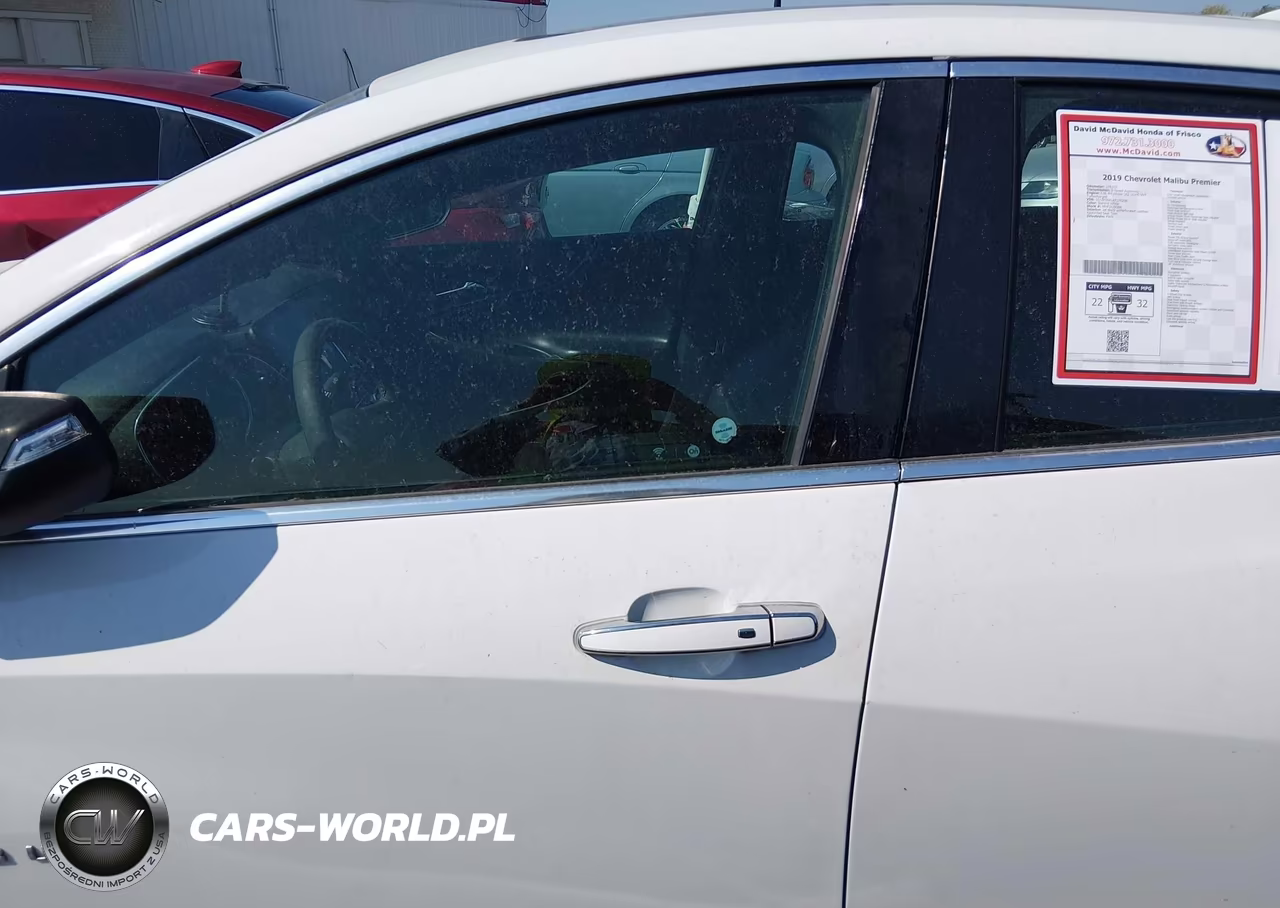 2019 Chevrolet Malibu Premier VIN:1G1ZE5SX1KF176208 - 13