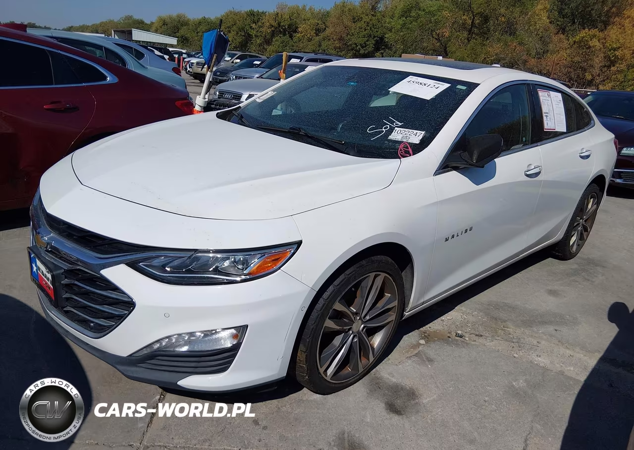 2019 Chevrolet Malibu Premier VIN:1G1ZE5SX1KF176208 - 2