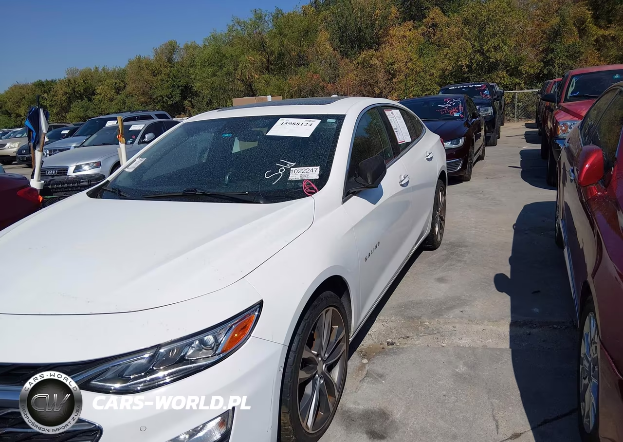 2019 Chevrolet Malibu Premier VIN:1G1ZE5SX1KF176208 - 6