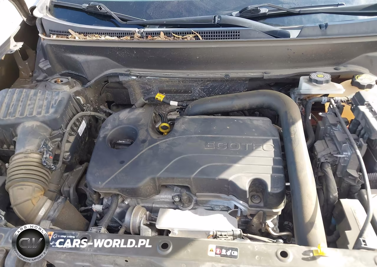 2024 Chevrolet Equinox Awd Lt VIN:3GNAXUEG3RL200729 - 10