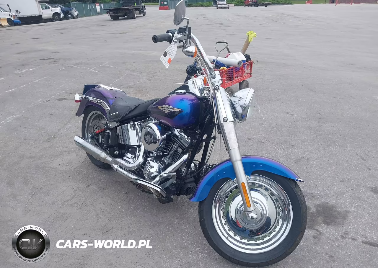 2010 Harley-Davidson Flstf
