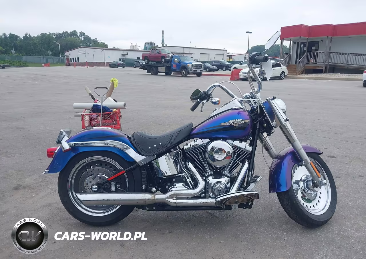 2010 Harley-Davidson Flstf VIN:1HD1BX513AB012849 - 12