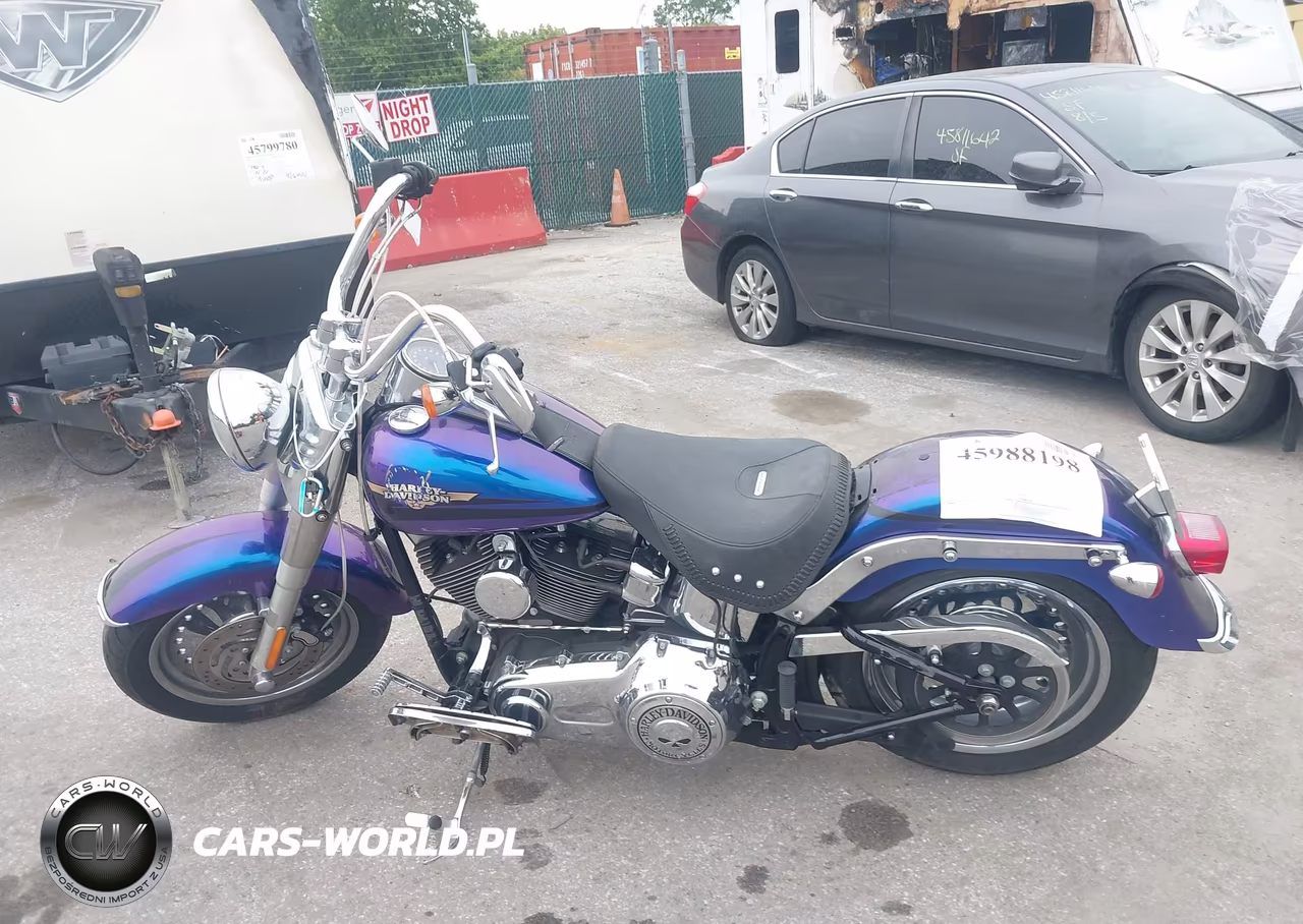 2010 Harley-Davidson Flstf VIN:1HD1BX513AB012849 - 13