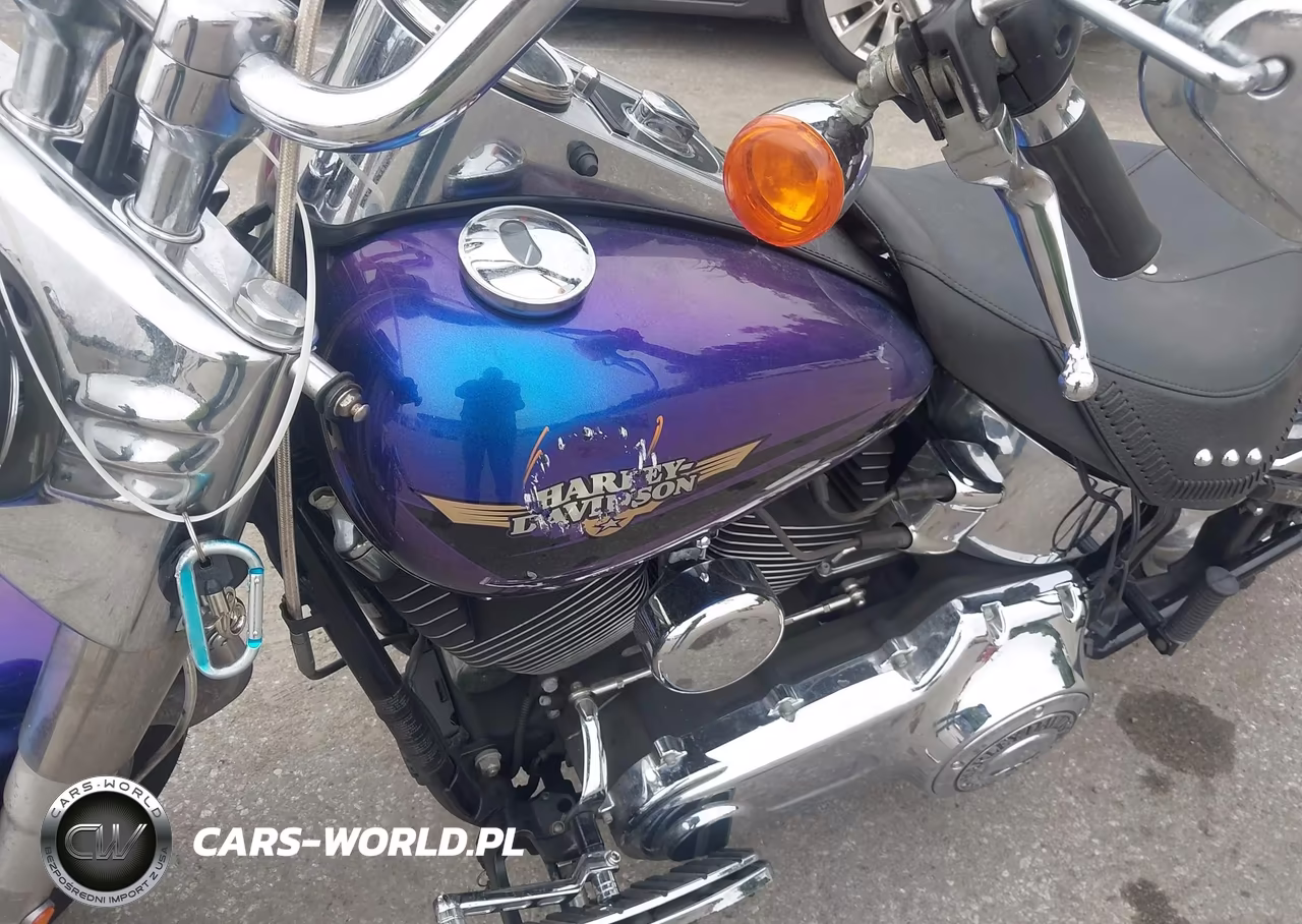 2010 Harley-Davidson Flstf VIN:1HD1BX513AB012849 - 14