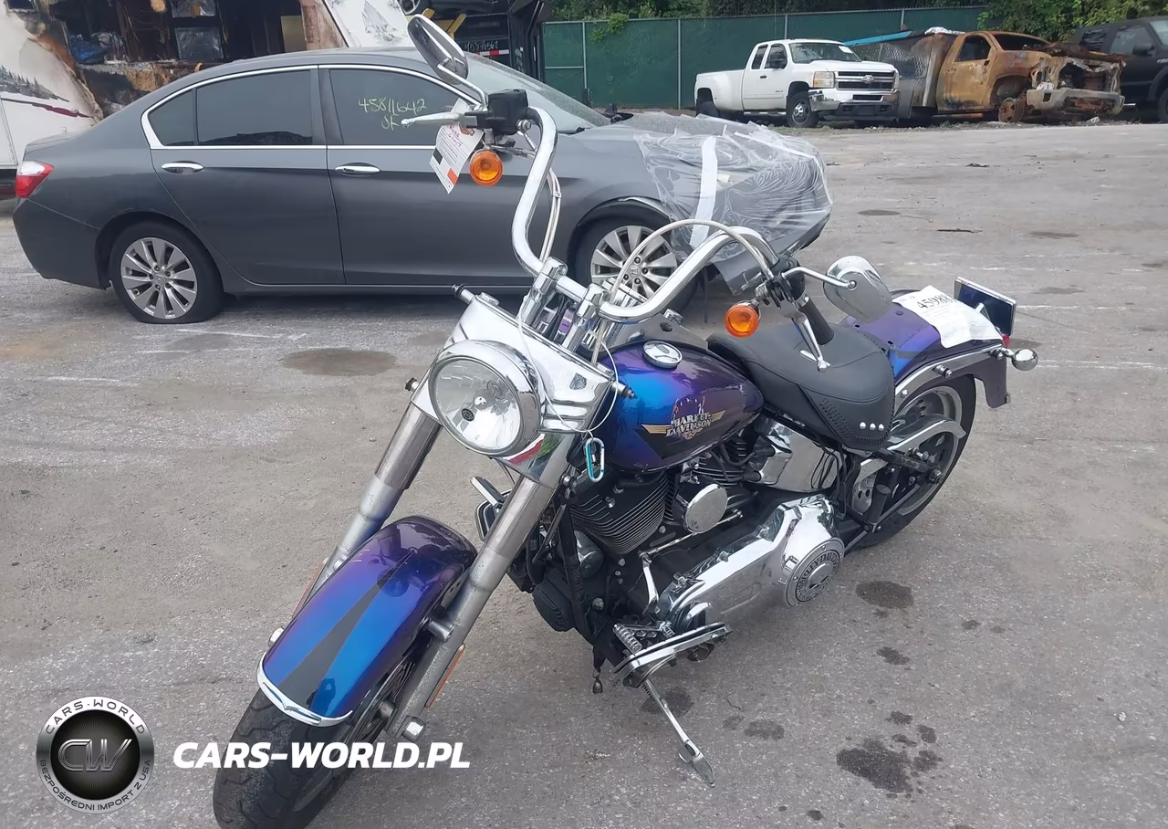 2010 Harley-Davidson Flstf VIN:1HD1BX513AB012849 - 2
