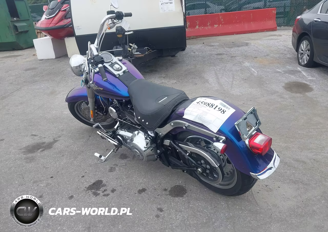 2010 Harley-Davidson Flstf VIN:1HD1BX513AB012849 - 3
