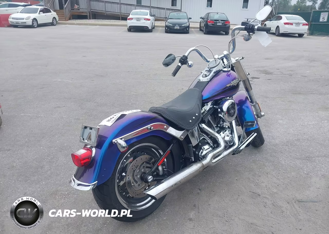 2010 Harley-Davidson Flstf VIN:1HD1BX513AB012849 - 4