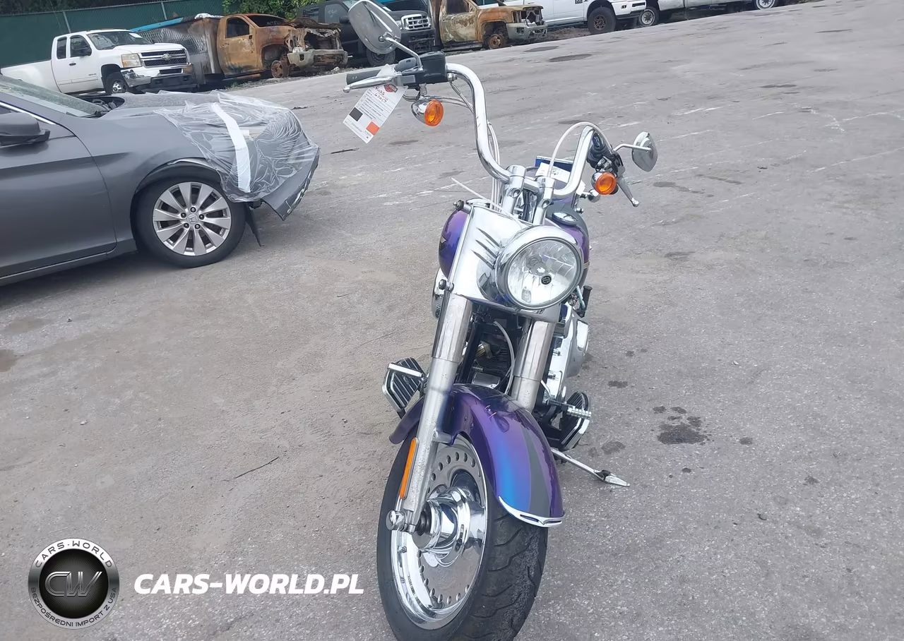 2010 Harley-Davidson Flstf VIN:1HD1BX513AB012849 - 5