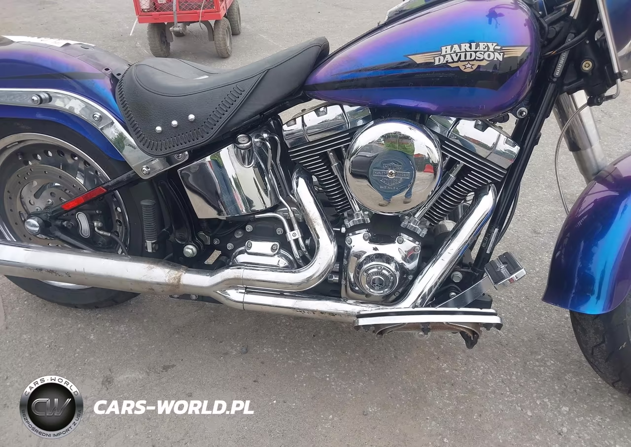 2010 Harley-Davidson Flstf VIN:1HD1BX513AB012849 - 8
