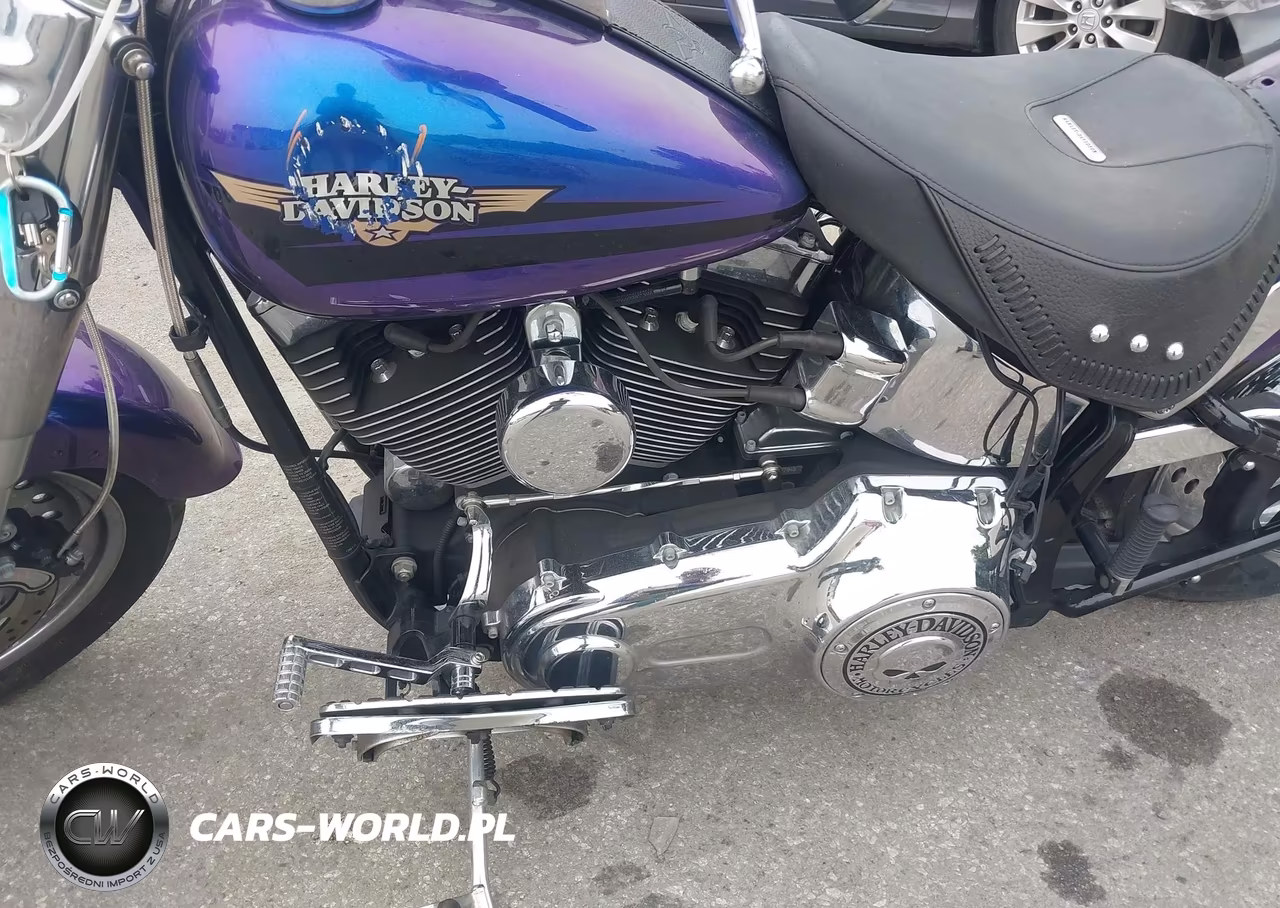 2010 Harley-Davidson Flstf VIN:1HD1BX513AB012849 - 9