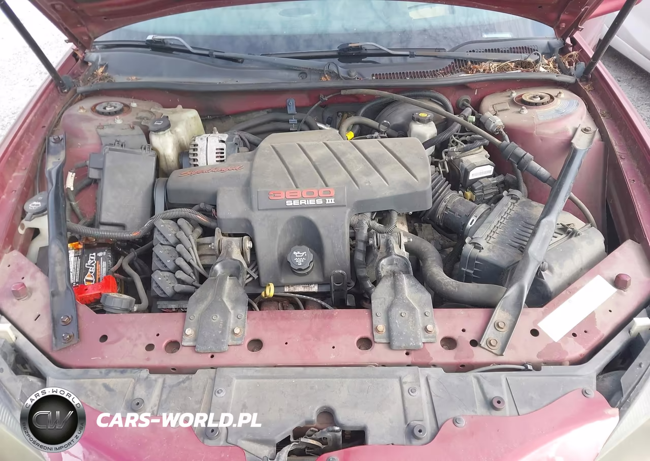 2004 Pontiac Grand Prix Gtp VIN:2G2WR524941103445 - 10
