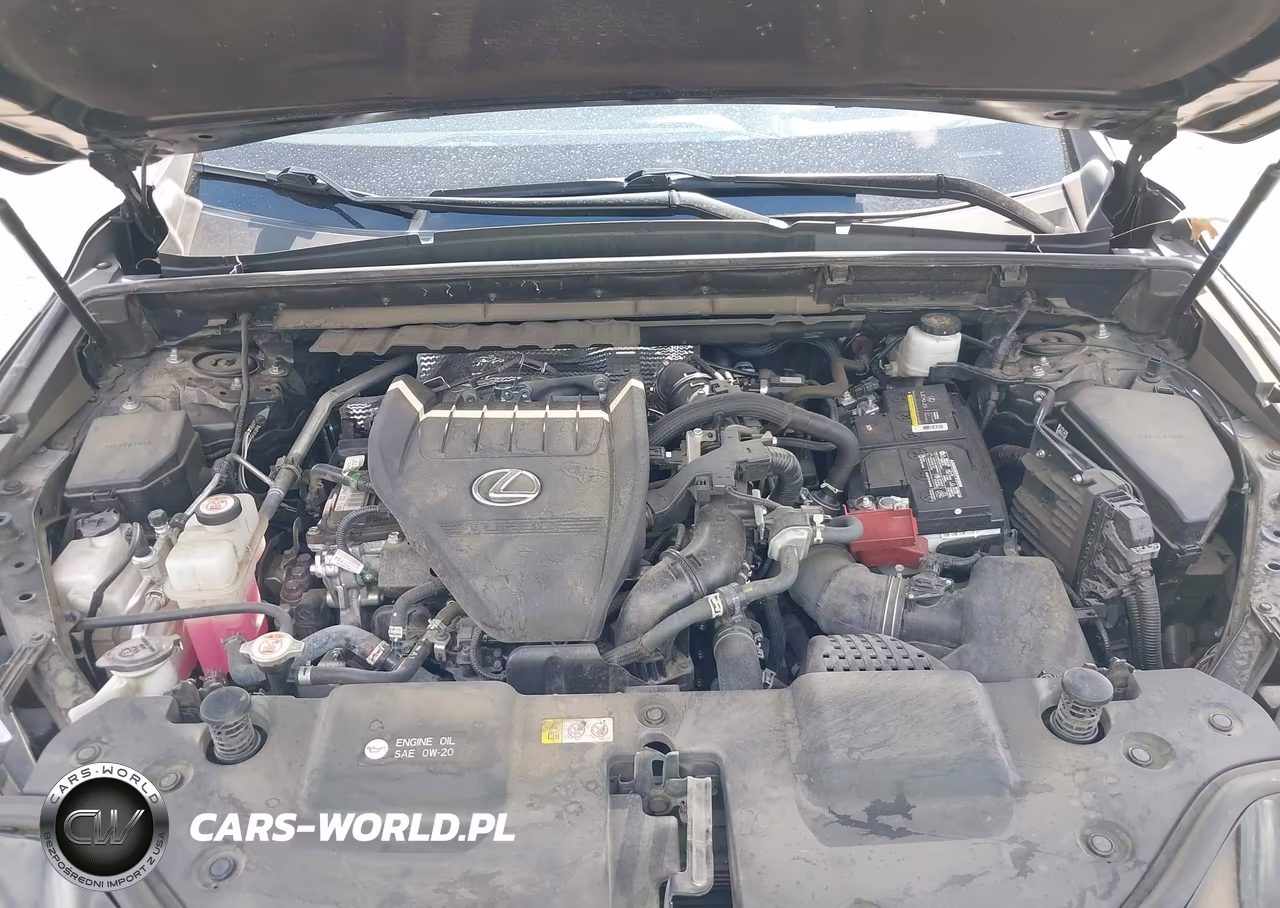 2023 Lexus Nx 350 Premium VIN:2T2GGCEZ8PC017790 - 10