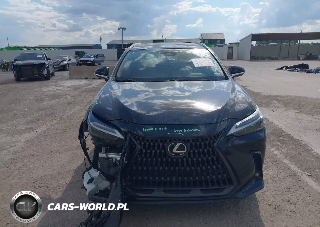 2023 Lexus Nx 350 Premium VIN:2T2GGCEZ8PC017790 - 12