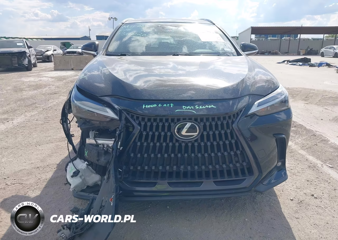 2023 Lexus Nx 350 Premium VIN:2T2GGCEZ8PC017790 - 17