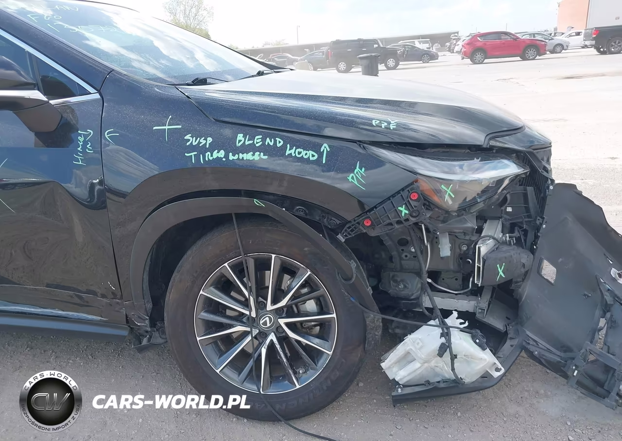 2023 Lexus Nx 350 Premium VIN:2T2GGCEZ8PC017790 - 19