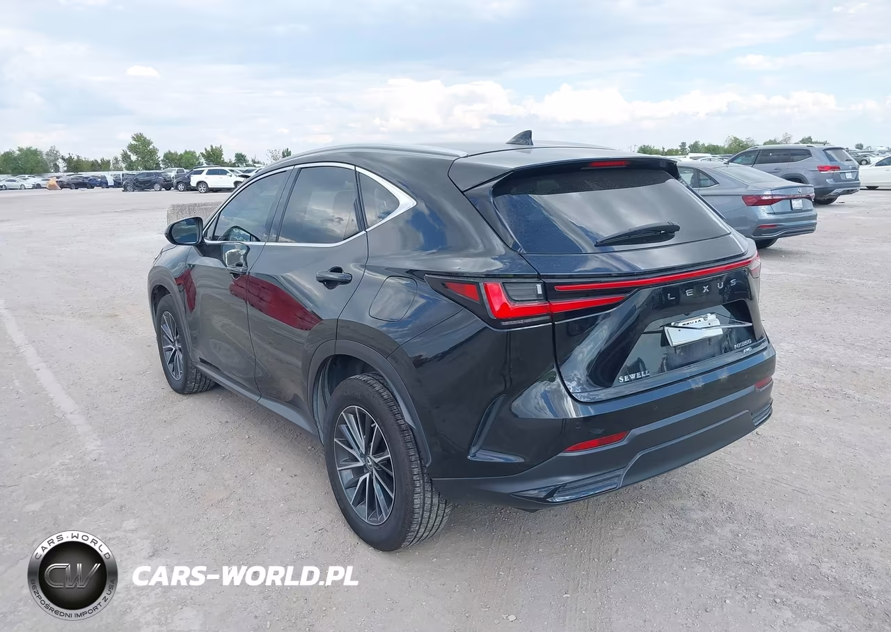 2023 Lexus Nx 350 Premium VIN:2T2GGCEZ8PC017790 - 3