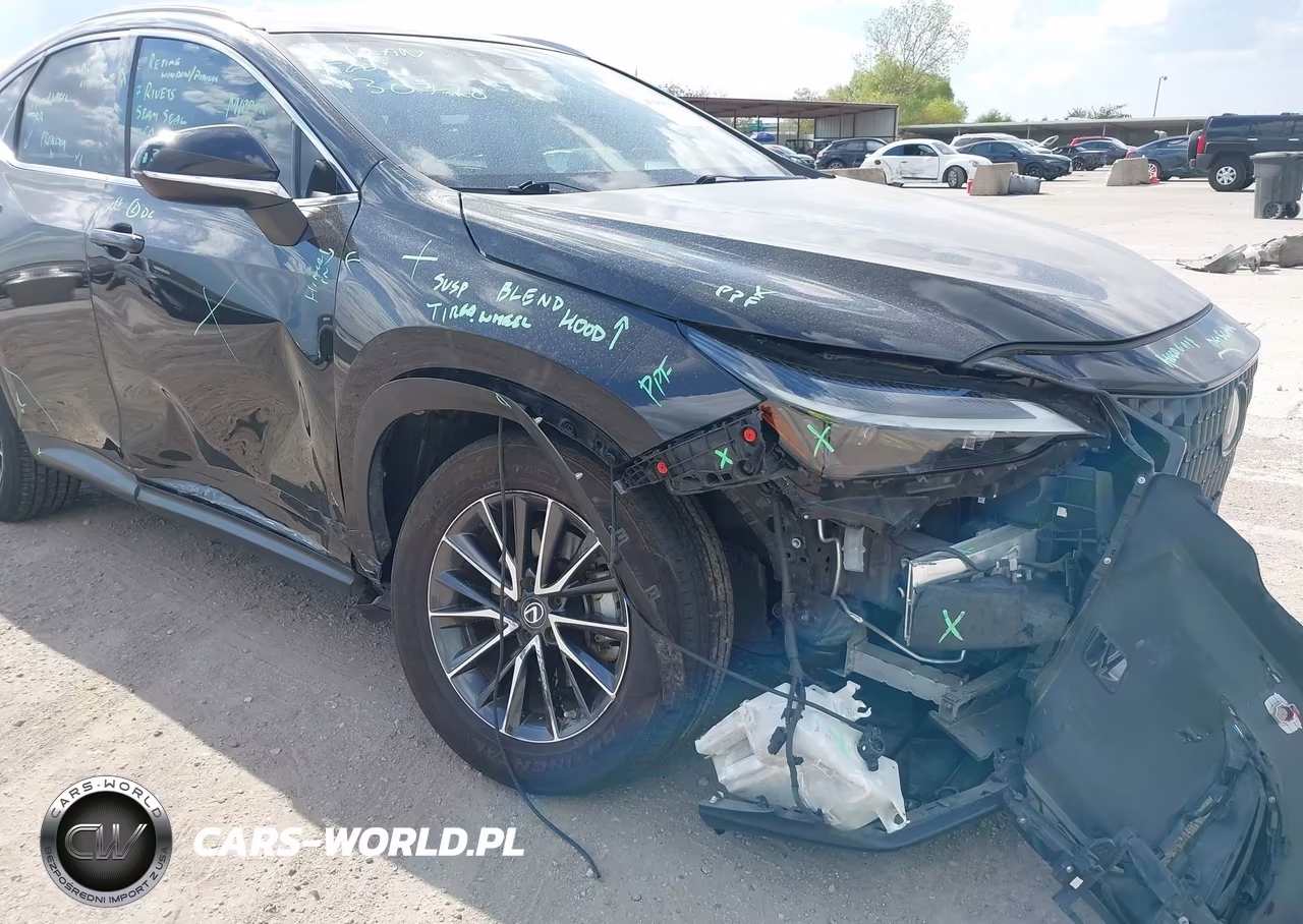 2023 Lexus Nx 350 Premium VIN:2T2GGCEZ8PC017790 - 6